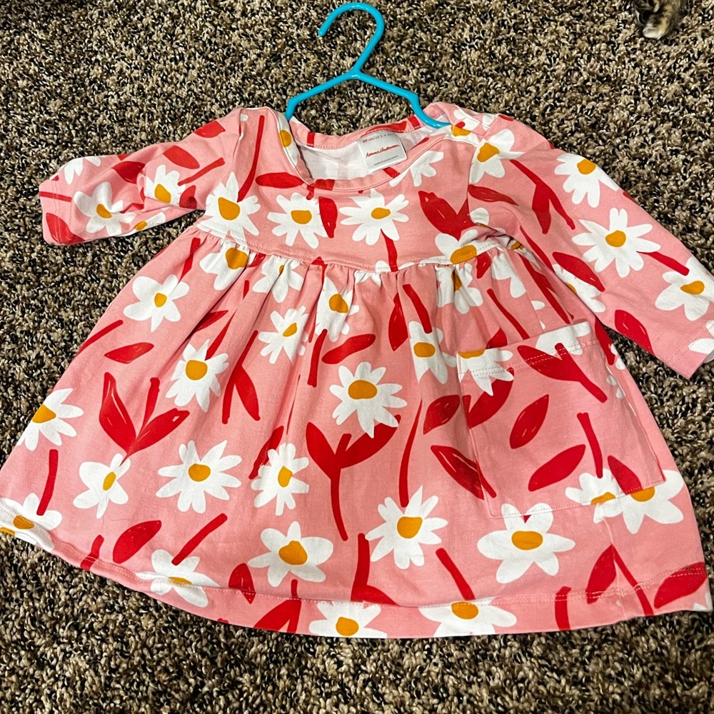 Hanna Andersson Dress